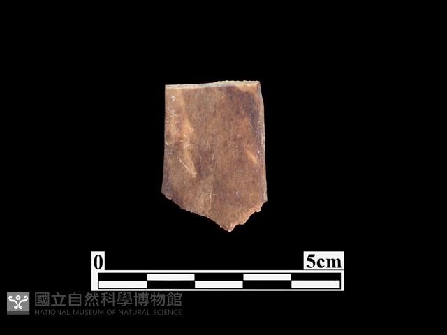 骨器藏品圖，第2張