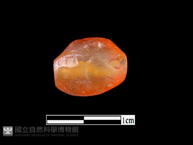 瑪瑙珠藏品圖，第2張