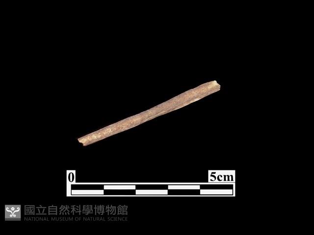 骨器藏品圖，第2張