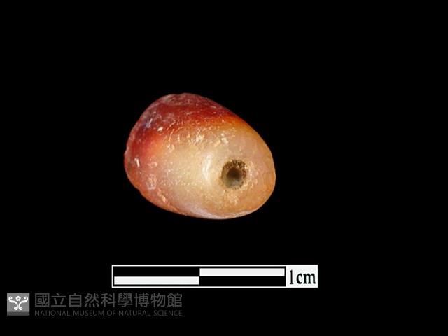 瑪瑙珠藏品圖，第2張