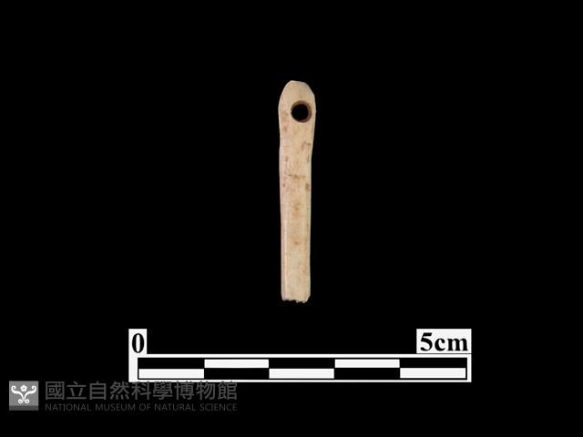 骨針藏品圖，第2張