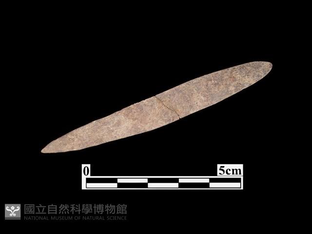 骨鏃藏品圖，第2張