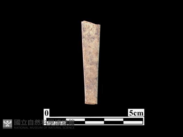 骨器藏品圖，第2張