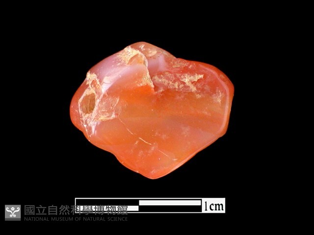 瑪瑙珠藏品圖，第2張