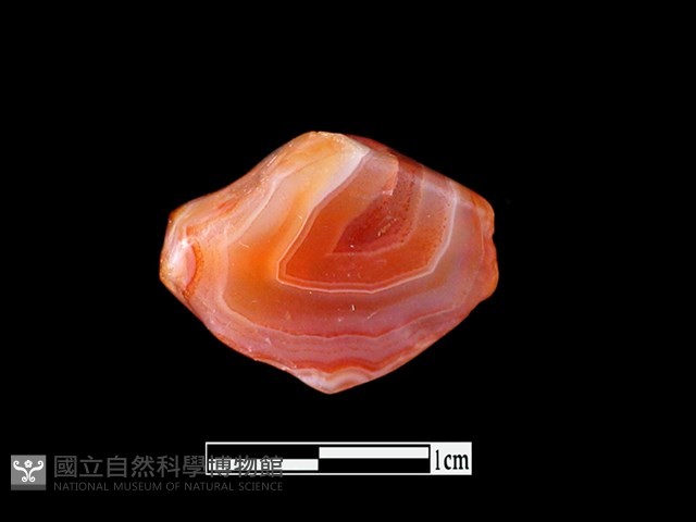 瑪瑙珠藏品圖，第1張