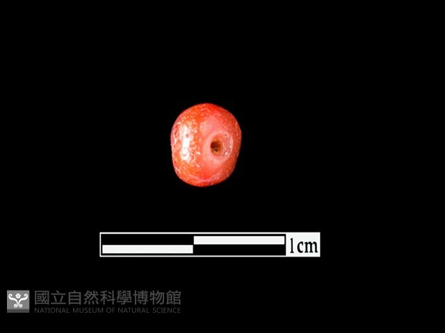 玉髓珠藏品圖，第1張