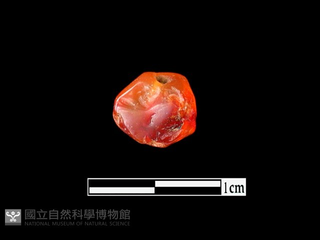 瑪瑙珠藏品圖，第1張