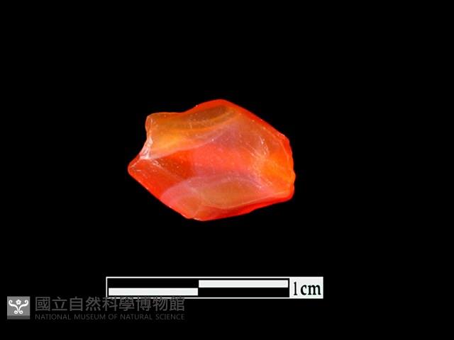 瑪瑙珠藏品圖，第1張