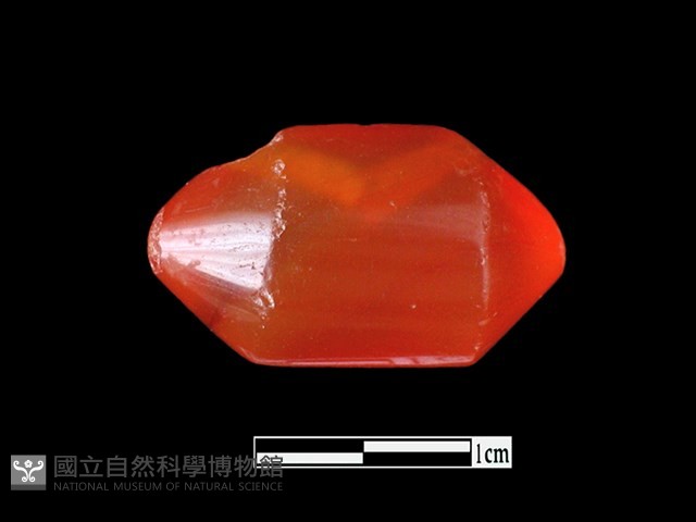 玉髓珠藏品圖，第1張