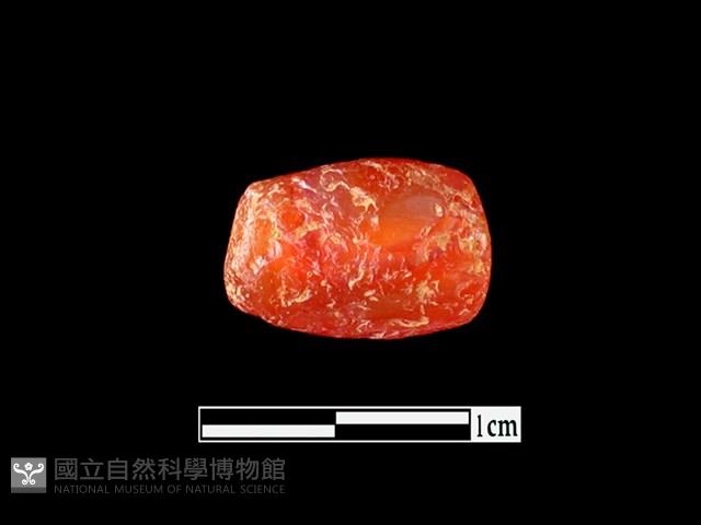 玉髓珠藏品圖，第1張