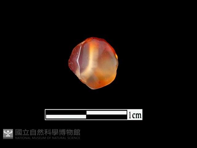 瑪瑙珠藏品圖，第1張