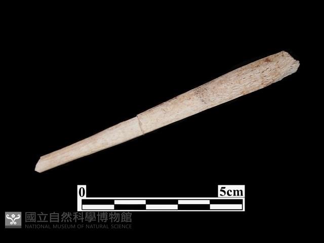 骨器藏品圖，第1張