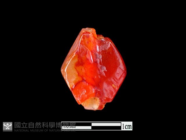 瑪瑙珠藏品圖，第1張