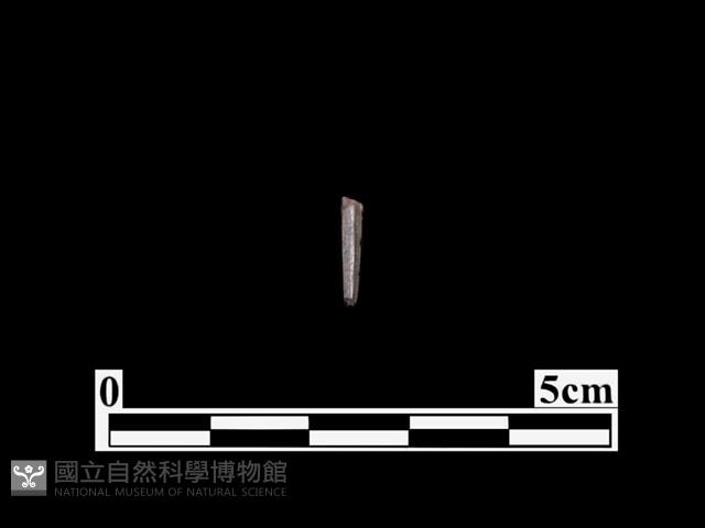 骨器藏品圖，第1張