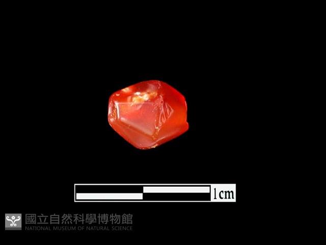 玉髓珠藏品圖，第1張