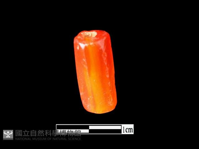 Accession Number:LL-MN047 Collection Image, Figure 1, Total 2 Figures