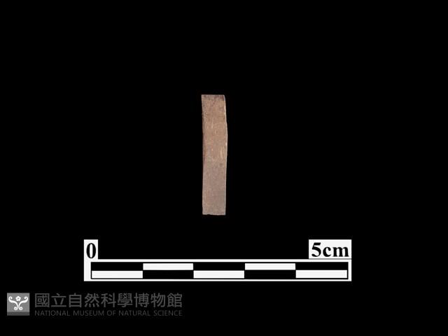 骨器藏品圖，第1張