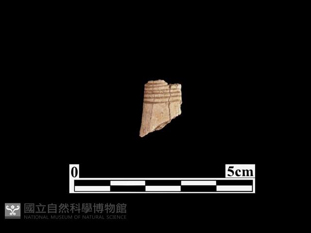 骨器藏品圖，第1張