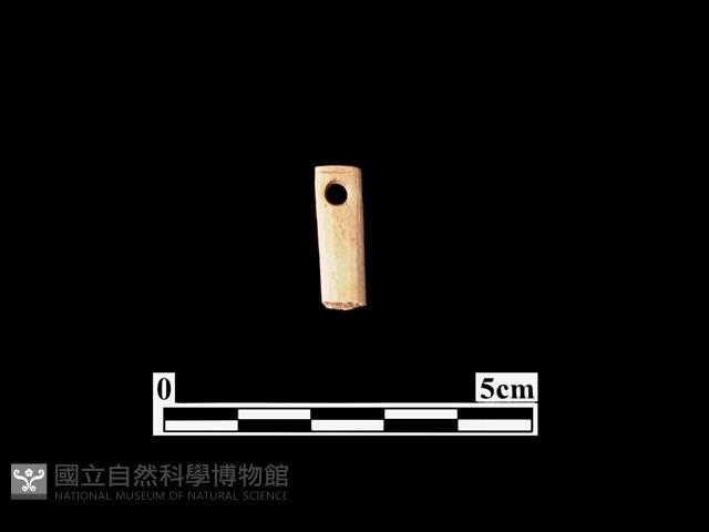 骨針藏品圖，第1張