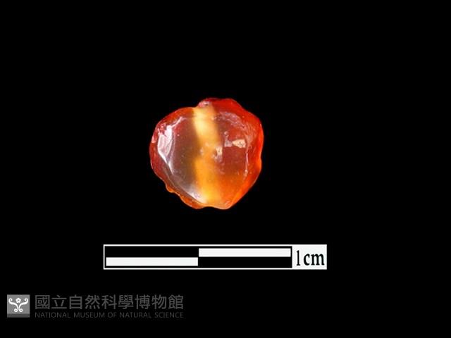 玉髓珠藏品圖，第1張