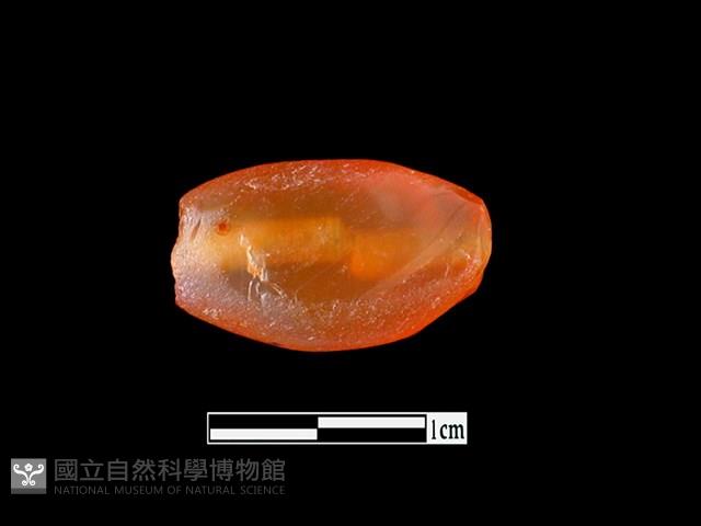 瑪瑙珠藏品圖，第1張