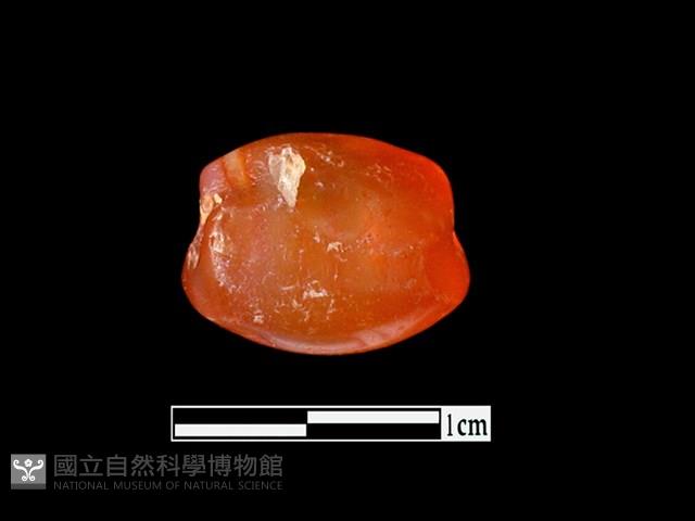 瑪瑙珠藏品圖，第1張