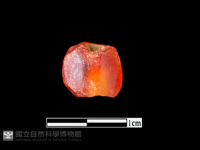 玉髓珠藏品圖，第1張