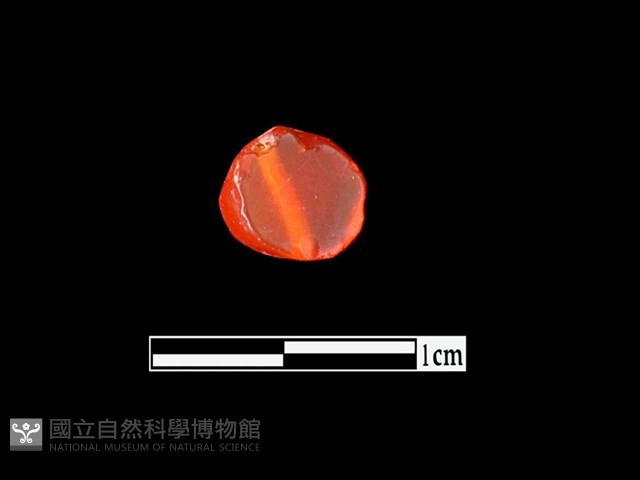 玉髓珠藏品圖，第1張