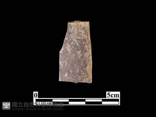 骨器藏品圖，第1張