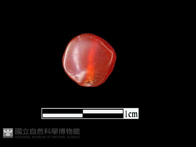 玉髓珠藏品圖，第1張
