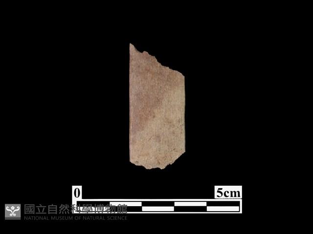 骨器藏品圖，第1張