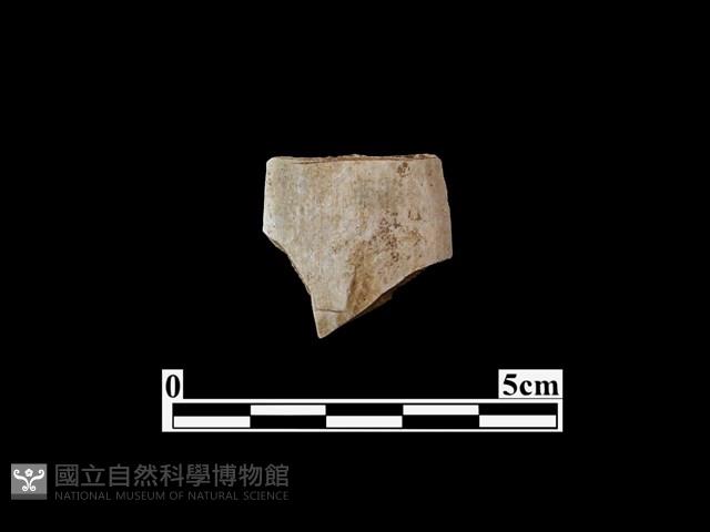 骨器藏品圖，第1張