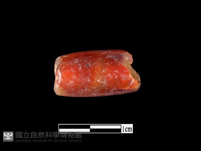 瑪瑙珠藏品圖，第1張