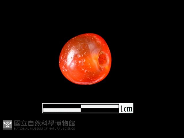 玉髓珠藏品圖，第1張
