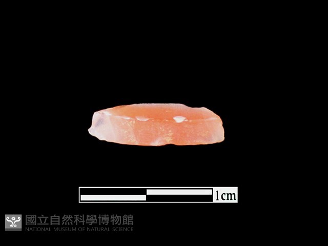 玉髓珠藏品圖，第1張