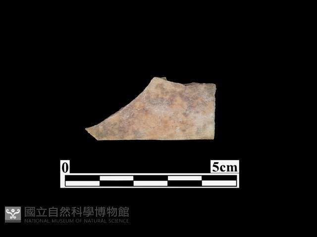 骨器藏品圖，第1張