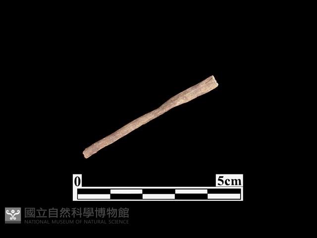 骨器藏品圖，第1張