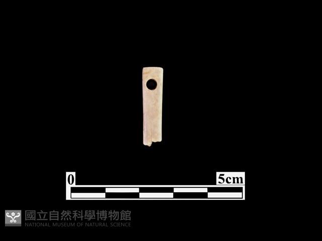 骨針藏品圖，第1張