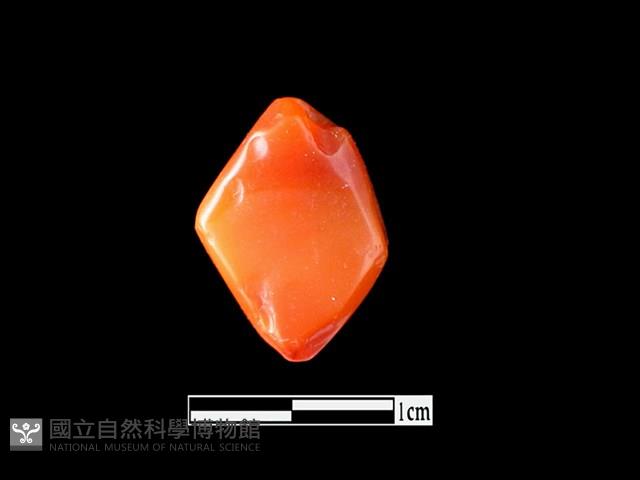 玉髓珠藏品圖，第1張