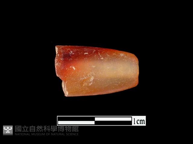 瑪瑙珠藏品圖，第1張