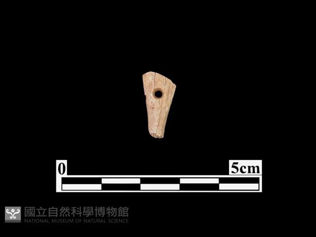 骨器藏品圖，第1張