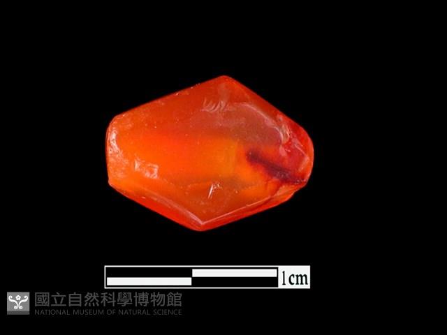 玉髓珠藏品圖，第1張