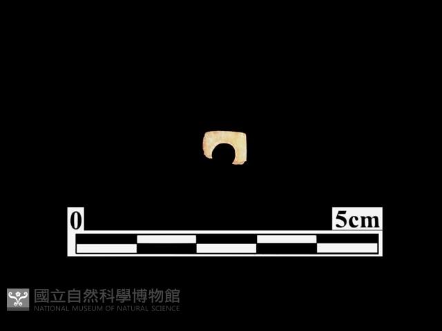 骨器藏品圖，第1張