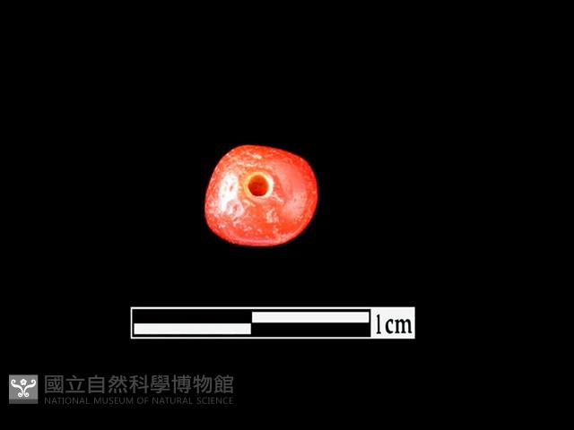 玉髓珠藏品圖，第1張