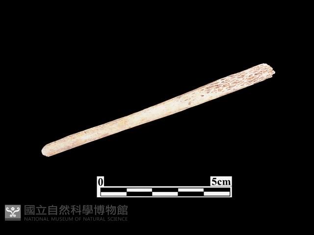 骨器藏品圖，第1張