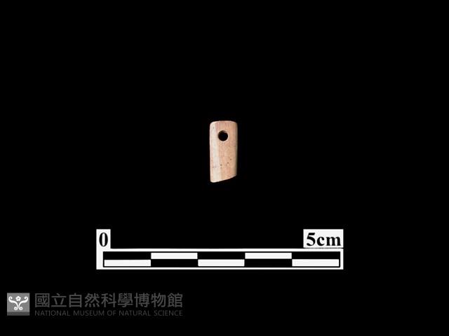 骨針藏品圖，第1張