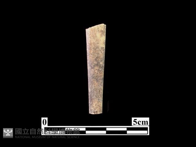 骨器藏品圖，第1張