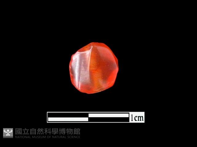 玉髓珠藏品圖，第1張