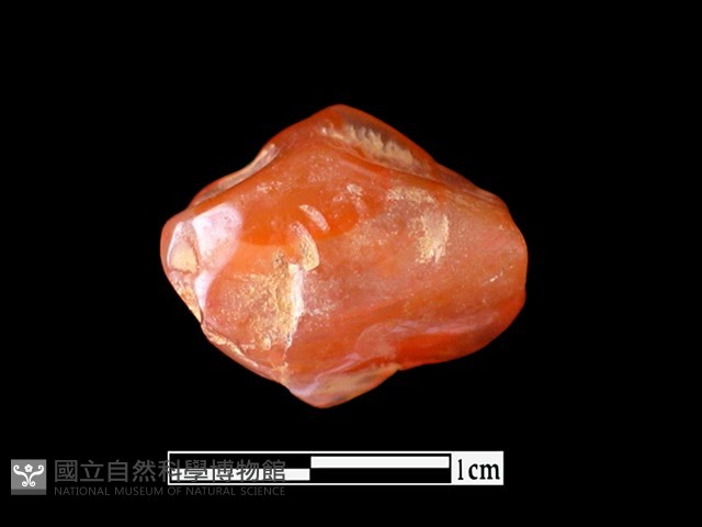 瑪瑙珠藏品圖，第1張
