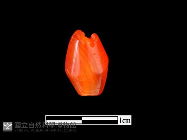 瑪瑙珠藏品圖，第3張